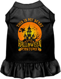 Scary Halloween Costume Pet Dress