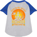 Scary Halloween Costume Pet Raglan Shirt